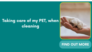 Taking care of my PET, when cleaning