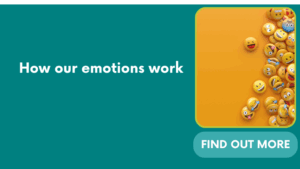 How our emotions work