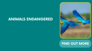 ANIMALS ENDANGERED