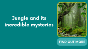 Jungle and its incredible mysteries