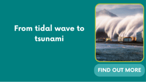 From tidal wave to tsunami
