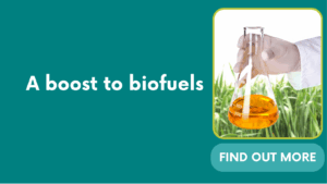 A boost to biofuels