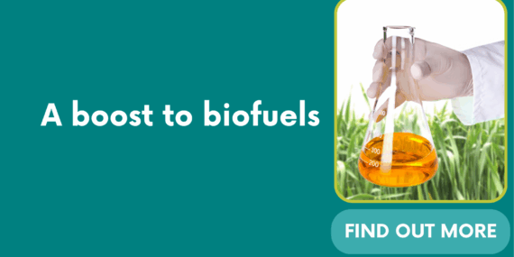 A boost to biofuels