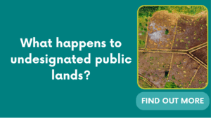 What happens to undesignated public lands?