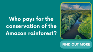 Who pays for the conservation of the Amazon rainforest?