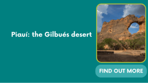 Piauí: the Gilbués desert