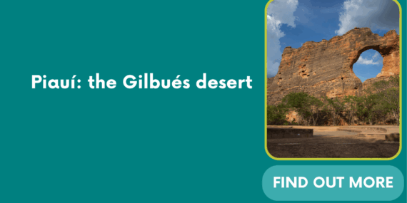 Piauí: the Gilbués desert