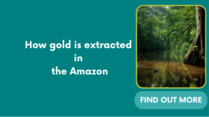 How gold is extracted in the Amazon