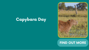 Capybara Day