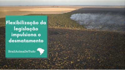 Relaxation of legislation drives deforestation