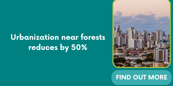 Urbanization near forests reduces by 50%