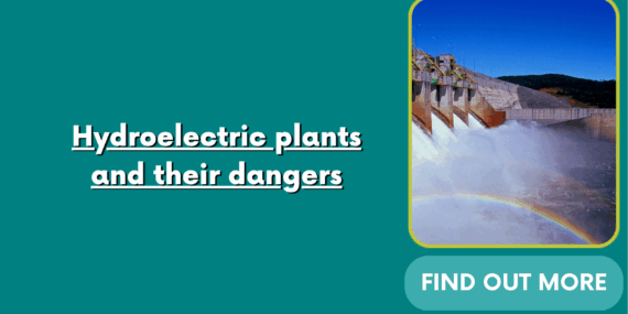 Hydroelectric plants and their dangers