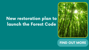New restoration plan to launch the Forest Code