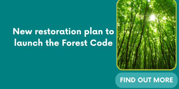 New restoration plan to launch the Forest Code
