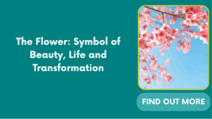 The Flower: Symbol of Beauty, Life and Transformation