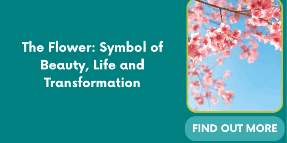 The Flower: Symbol of Beauty, Life and Transformation