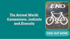 The Animal World: Companions, Instincts and Diversity