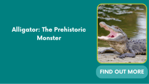 Alligator: The Prehistoric Monster