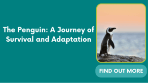 The Penguin: A Journey of Survival and Adaptation