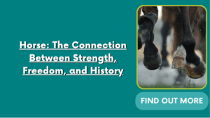 Horse: The Connection Between Strength, Freedom, and History