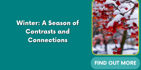 Winter: A Season of Contrasts and Connections