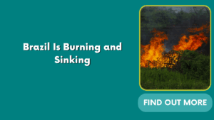 Brazil Is Burning and Sinking